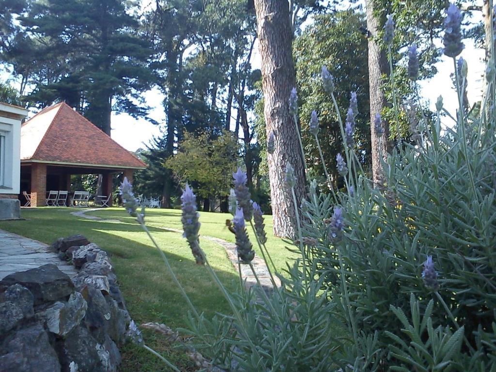 Josephine Boutique Hotel Пунта дел Есте Екстериор снимка